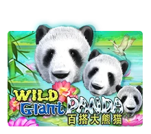 Wild Giant Panda - HEROBET168