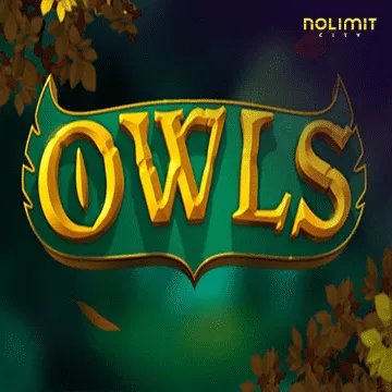 Owls - HEROBET168